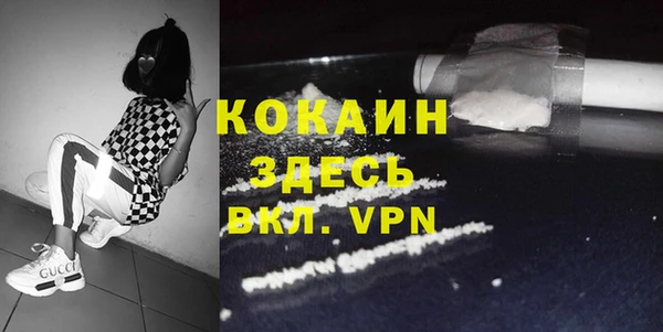 шишки Армянск
