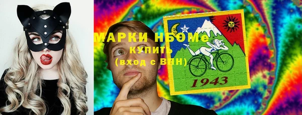мдпв Арсеньев