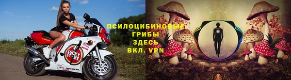 jwh Пролетарск